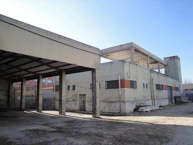 Secadero de pieles y mondonguería