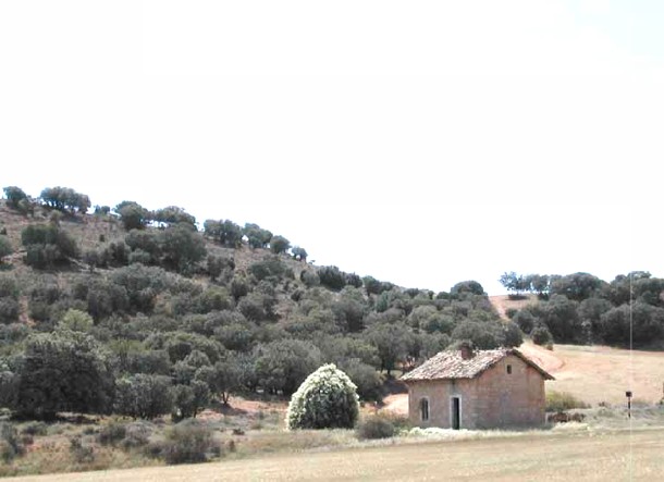 Casita del guardagujas y apeadero en Chércoles