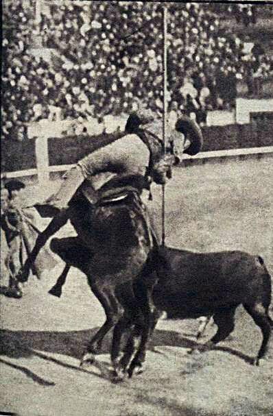 Antonio Molina, Farnesio